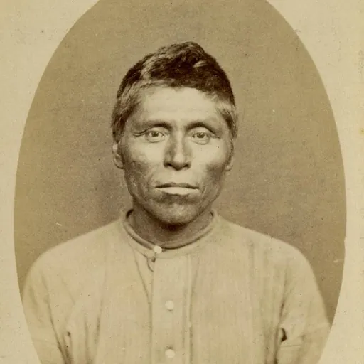 Portrait of Curley Headed Doctor