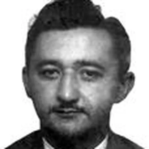 Portrait of Hélio Gueiros