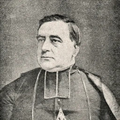 Portrait of Isidore-Joseph du Rousseaux