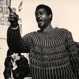 Portrait of Big Brown