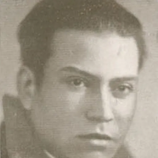 Portrait of José Maria Ferreira de Castro