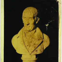 Portrait of Vincenzo Briganti