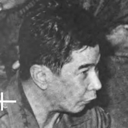 Portrait of Nguyễn Văn Minh