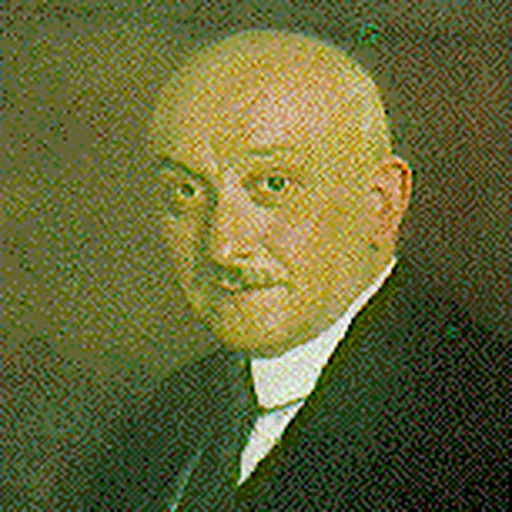 Portrait of Zoltán Gombocz