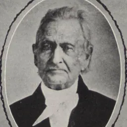 Portrait of Henry Potter