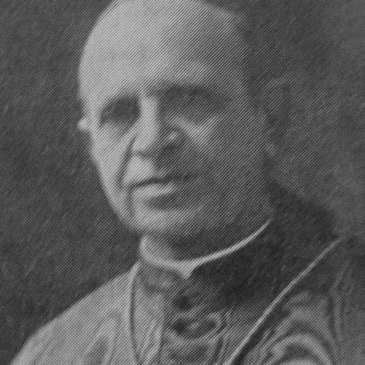 Portrait of Massimo Massimi
