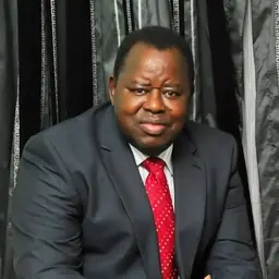 Portrait of Stephen Oluwole Akinola