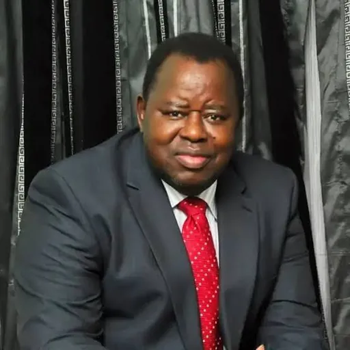 Portrait of Stephen Oluwole Akinola