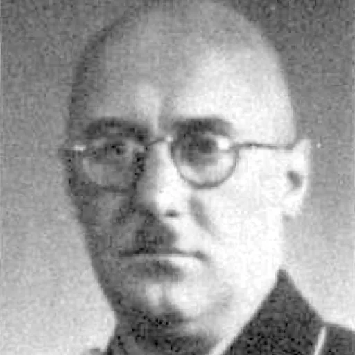 Portrait of Ferdinand Sammern-Frankenegg