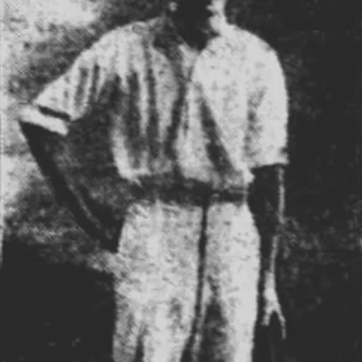Portrait of Roy Higgins
