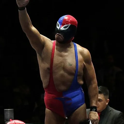 Portrait of Fuerza Guerrera