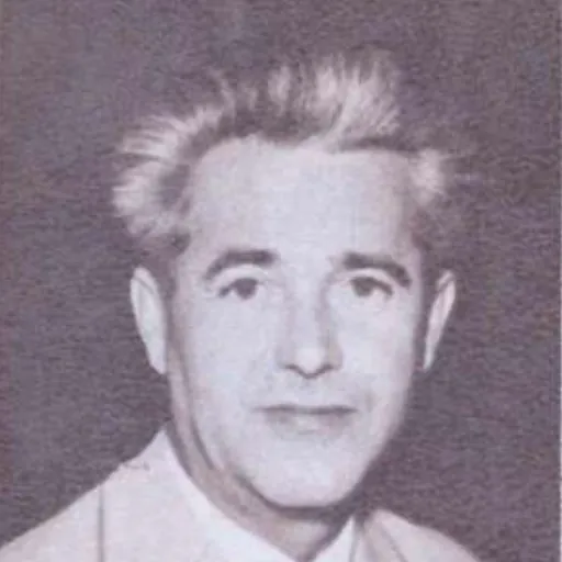 Portrait of Ion Șiclovan