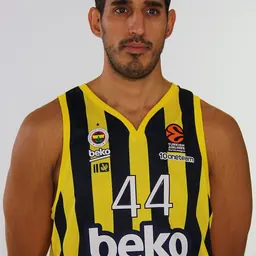 Portrait of Ahmet Düverioğlu