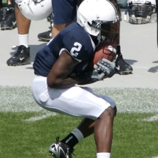 Portrait of Derrick Williams