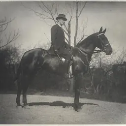 Portrait of John Quinn
