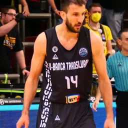 Portrait of Stefan Birčević