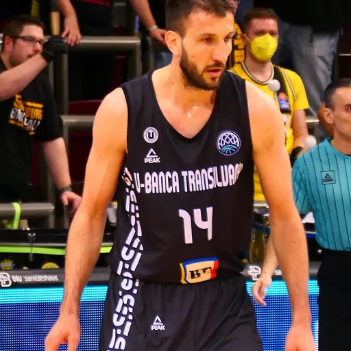 Portrait of Stefan Birčević