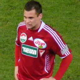 Portrait of Péter Czvitkovics