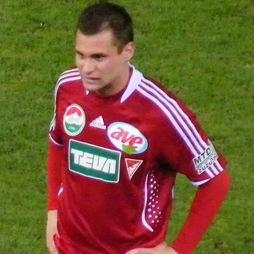 Portrait of Péter Czvitkovics