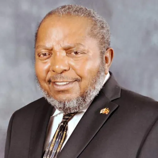 Portrait of Emmanuel Tumusiime-Mutebile