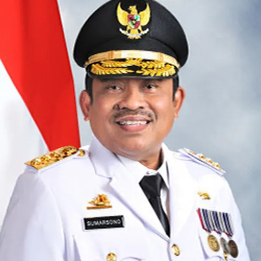 Portrait of Soni Sumarsono