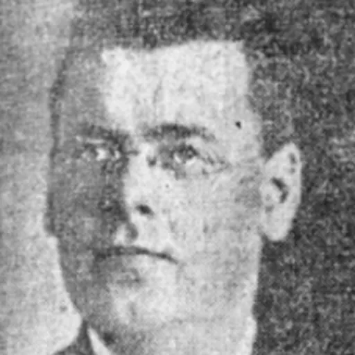 Portrait of Frank Howard