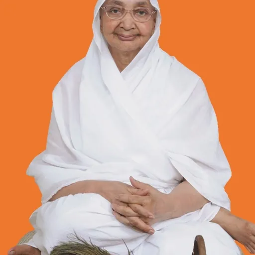 Portrait of Gyanmati