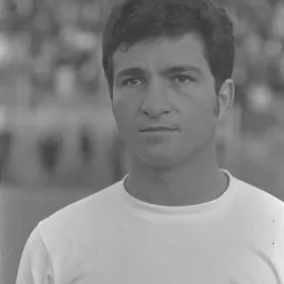 Portrait of Yehoshua Feigenbaum