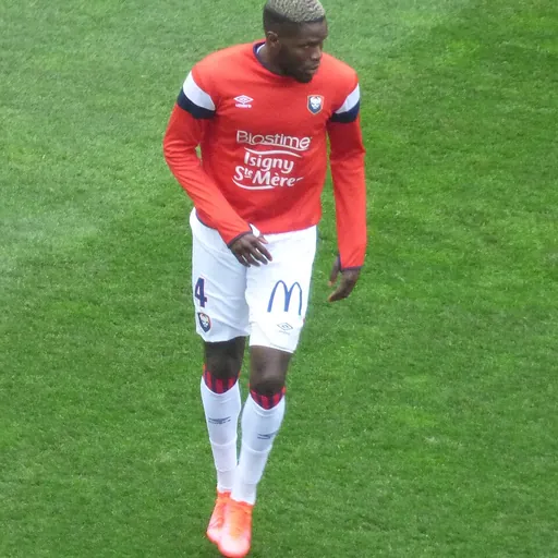 Portrait of Djibril Diaw