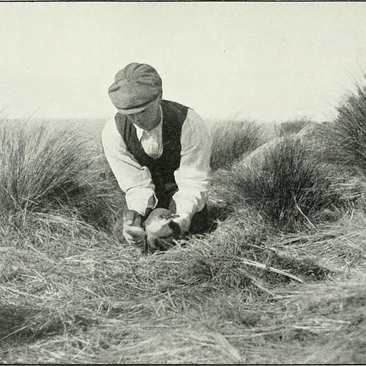 Portrait of Frank Mervyn Littler