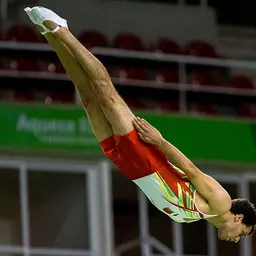 Portrait of Diogo Abreu