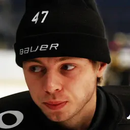 Portrait of Niklas Lundström