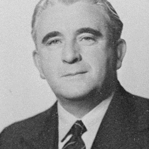 Portrait of Thomas Francis Doyle