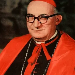 Portrait of Franjo Šeper