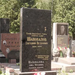 Portrait of Yevgeny Shapovalov