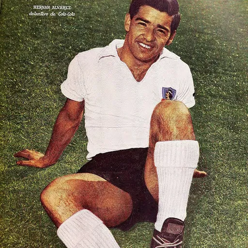 Portrait of Luis Hernán Álvarez
