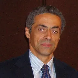 Portrait of Guido del Giudice
