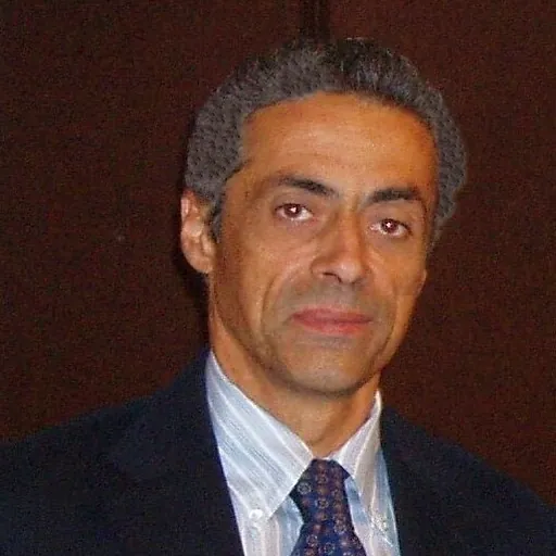 Portrait of Guido del Giudice