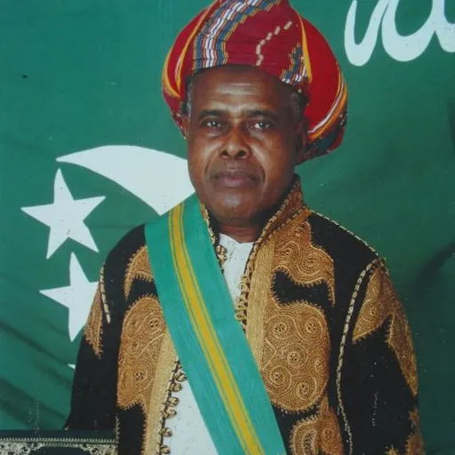 Portrait of Mohamed Taki Abdoulkarim