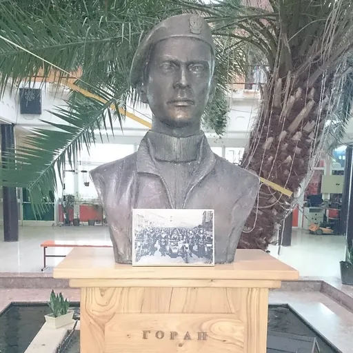 Portrait of Goran Ostojić