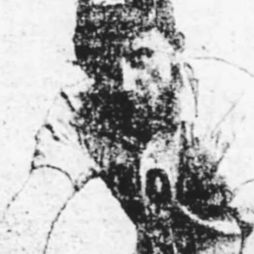 Portrait of Art Nichols