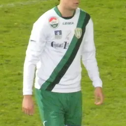 Portrait of Richárd Guzmics