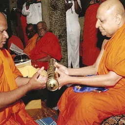 Portrait of Thibbatuwawe Sri Siddhartha Sumangala Thero
