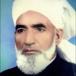 Portrait of Ali Shah Bukhari