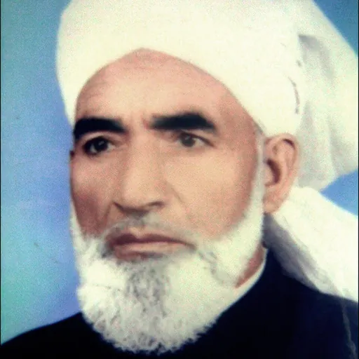 Portrait of Ali Shah Bukhari