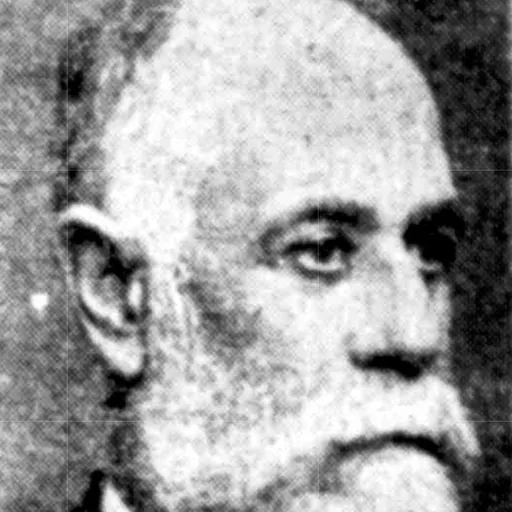 Portrait of Alfred Le Messurier