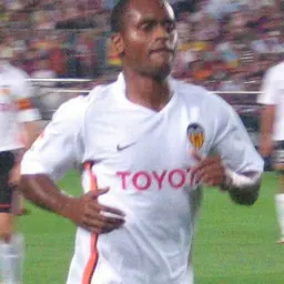 Portrait of Luís Miguel da Fonseca Silva