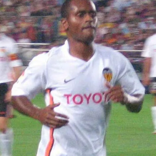 Portrait of Luís Miguel da Fonseca Silva