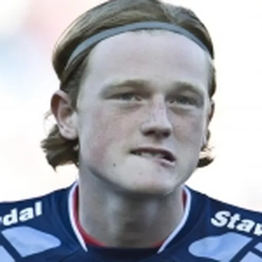 Portrait of Nicolas Sandberg