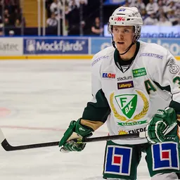 Portrait of Magnus Nygren